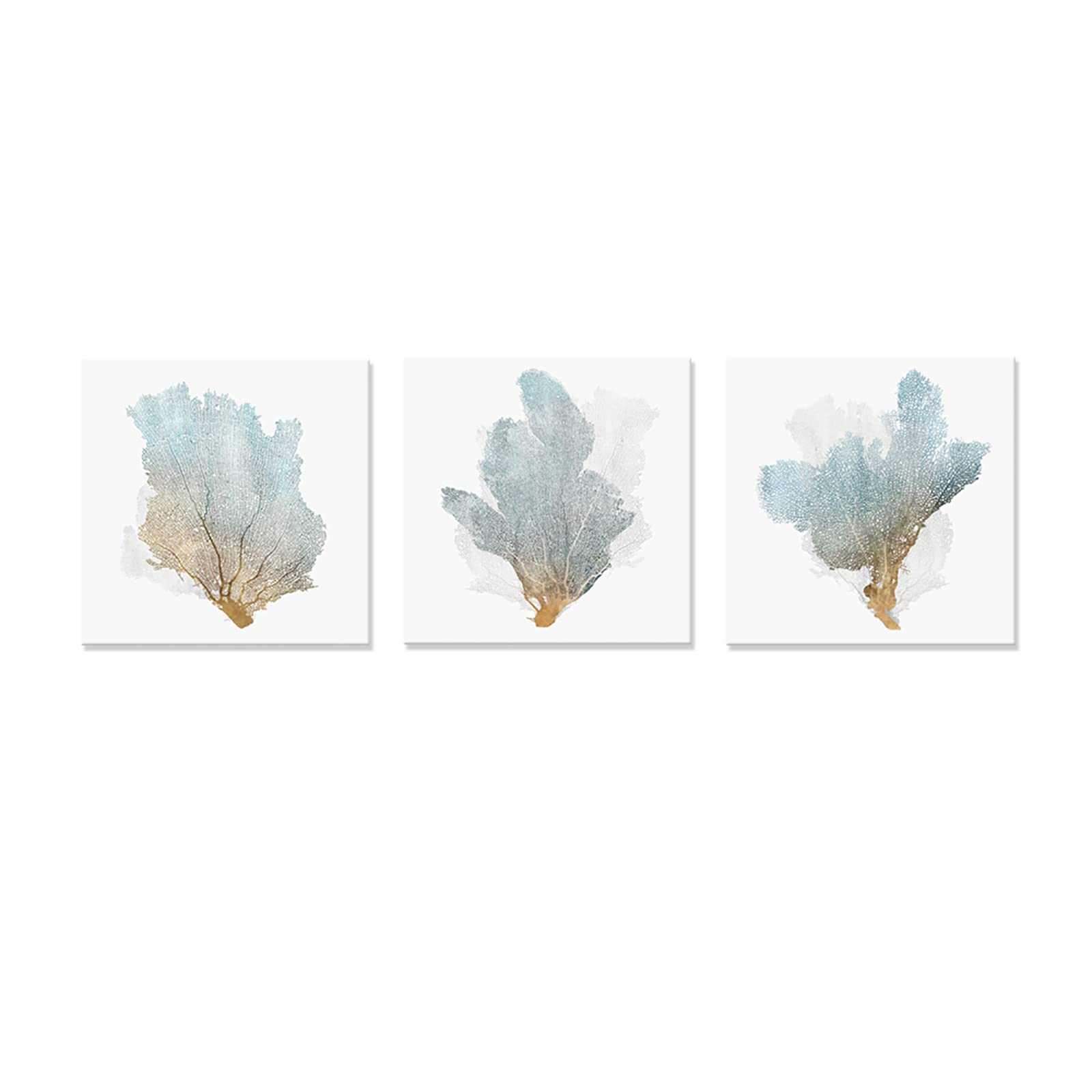 Jaupo Art Delicate Coral Wall Decor for Coastal Decor Homeowners 16x16 x3pcs
| Jaupo Art Coral Sea Fan Pictures for Bat